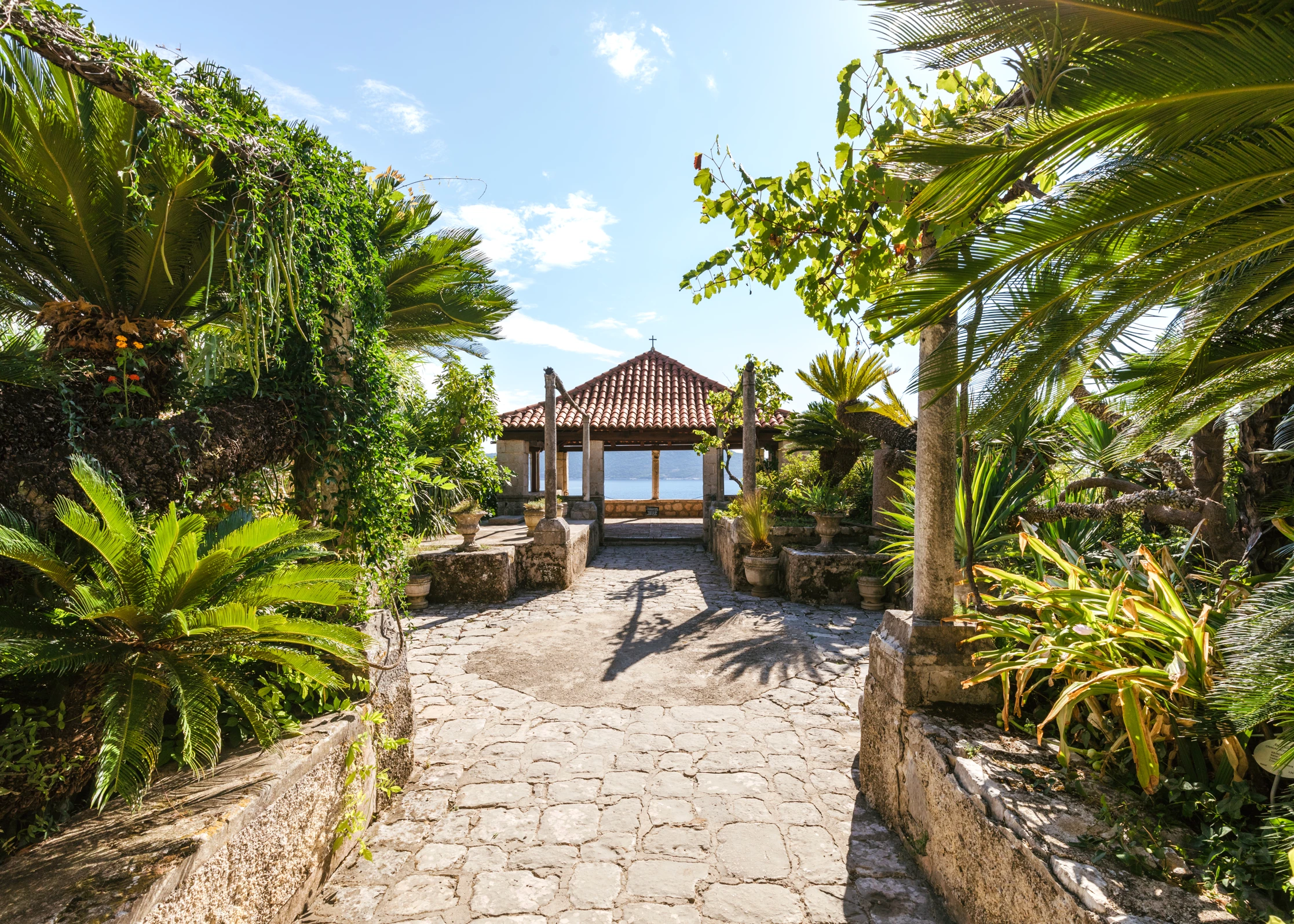 L’Arboretum di Trsteno