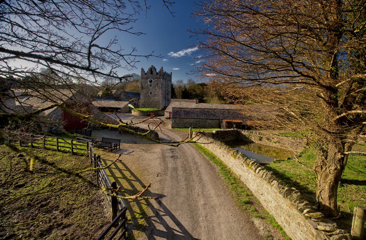 Castle Ward
